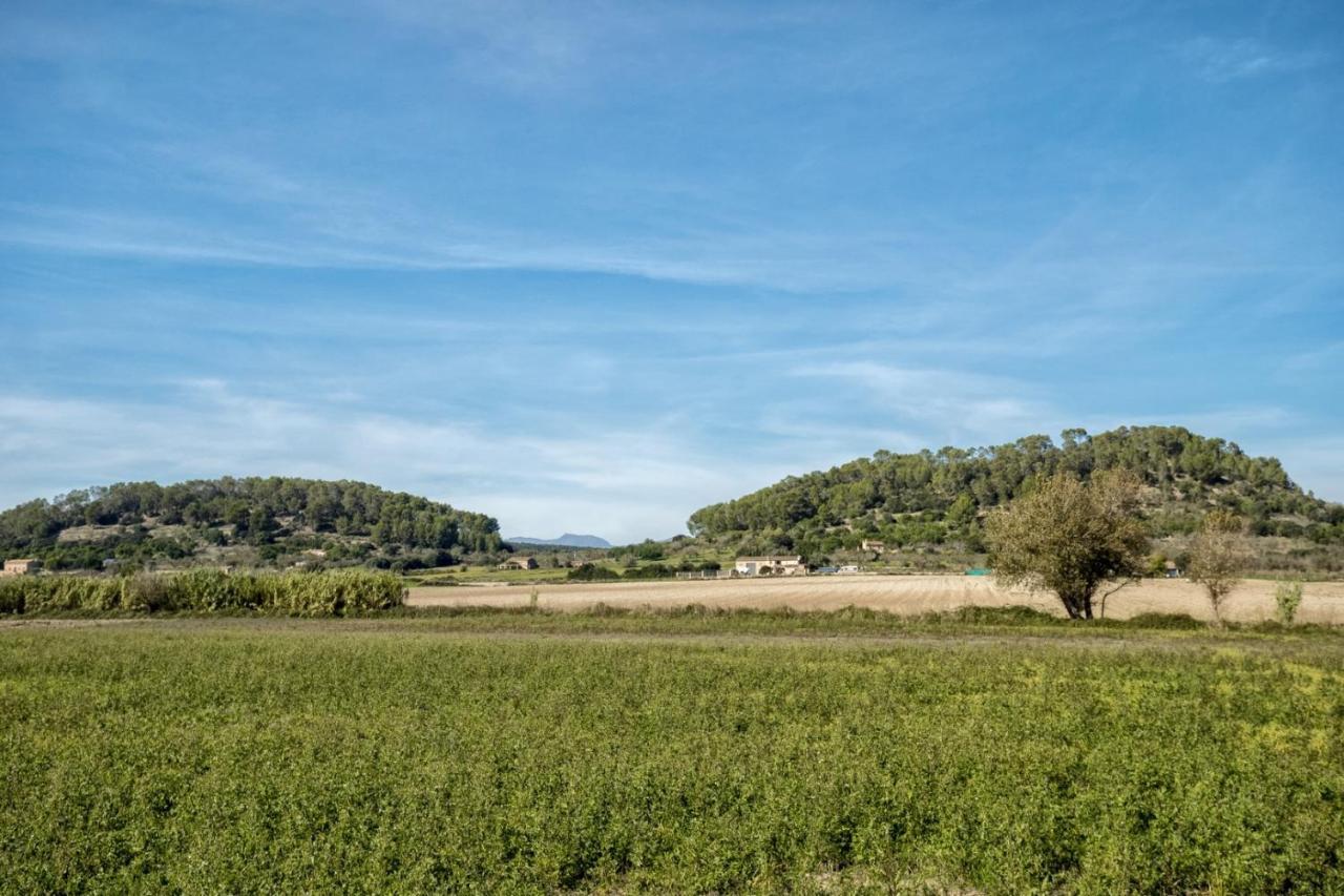 Es Camp Pla Villa Sineu Kültér fotó